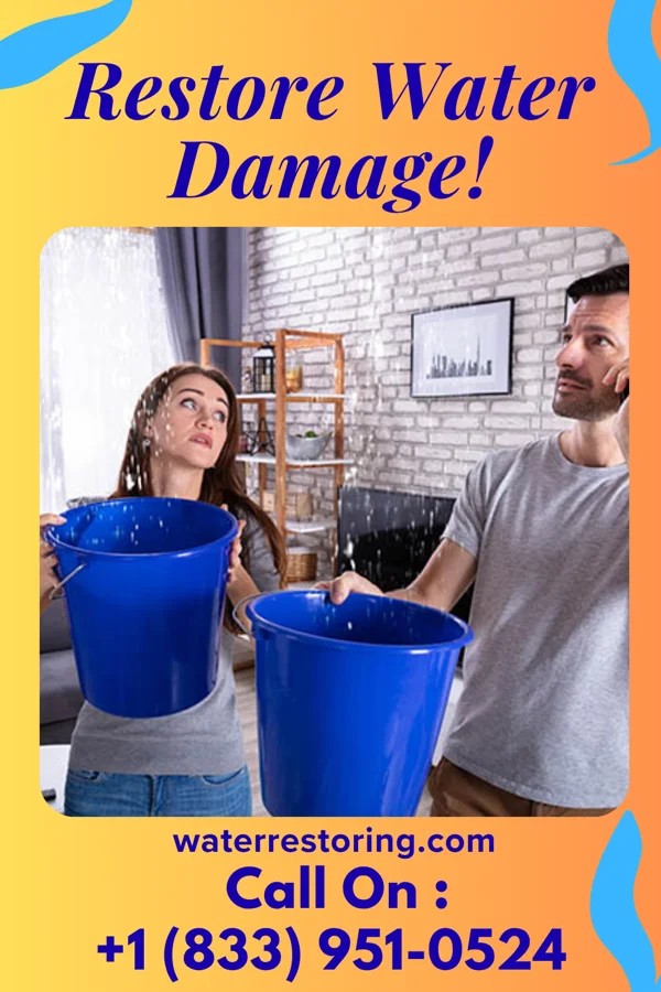 water restoration Titan Water Removal Group South Fulton