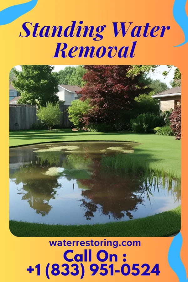Standing Water Removal in South Fulton, TN